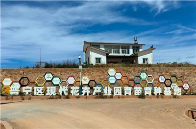 【案例故事】享誉天下的春城花都，，太阳GG助力云南晋宁走出“芳香”致富路