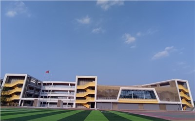高清拾音手艺刷新：解决音质模糊挑战，，，打造清晰音频体验